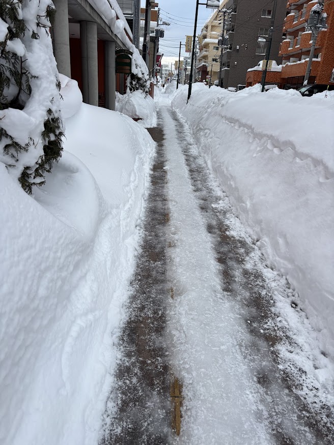 白石駅南口からしばらく歩いた雪道