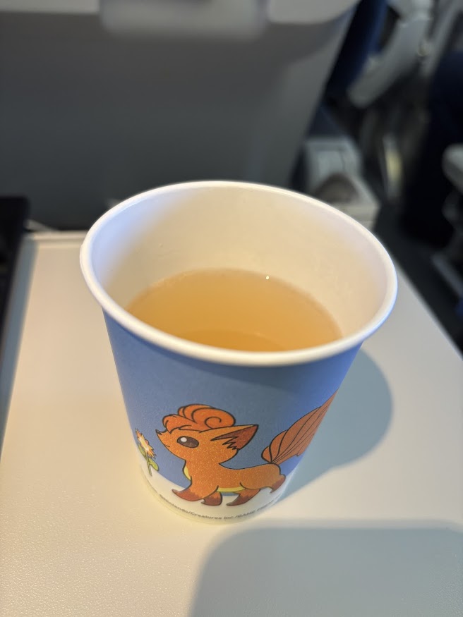 新千歳空港発のエアードゥ（AIR DO）の飛行機（ロコンジェット（ROKONJET））のほたてスープ