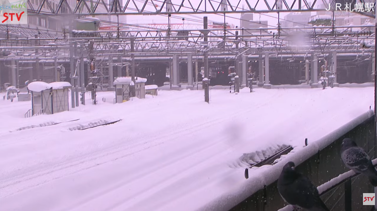 2026年1月31日12時04分_鳩2匹_ライブカメラ JR札幌駅 (STV札幌テレビ放送)  Live Camera Sapporo Station , Hokkaido