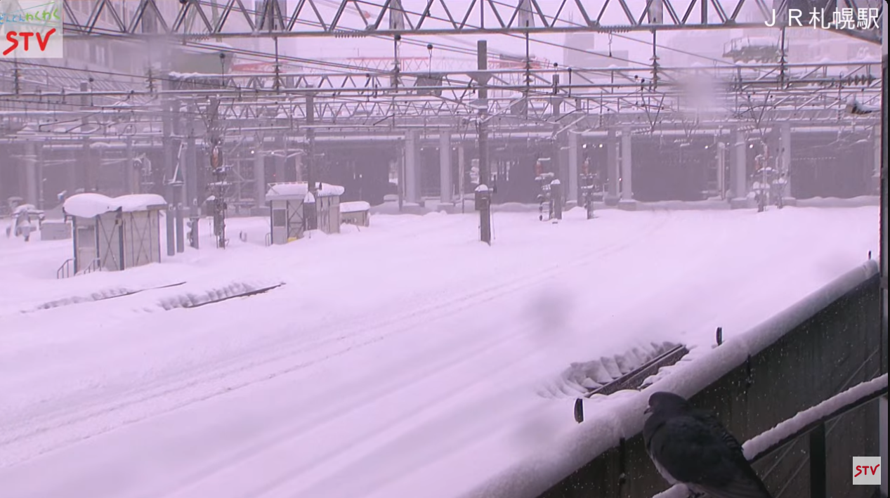 2026年1月31日12時04分_鳩1匹_ライブカメラ JR札幌駅 (STV札幌テレビ放送)  Live Camera Sapporo Station , Hokkaido