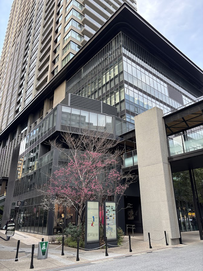 南北線後楽園駅と三田線春日駅間のパークコート文京小石川ザタワーの梅