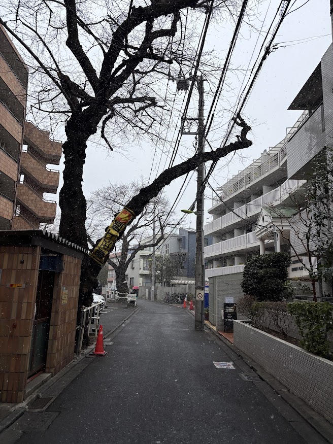 千歳烏山駅から少し歩いた場所で雪が結構降ってきた