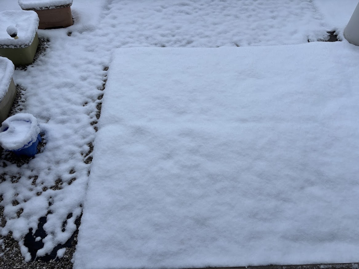 2026年2月8日 6時45分の東京多摩エリア 庭の積雪状況