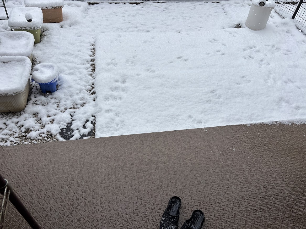 2026年2月8日 9時05分の東京多摩エリア 庭の積雪状況