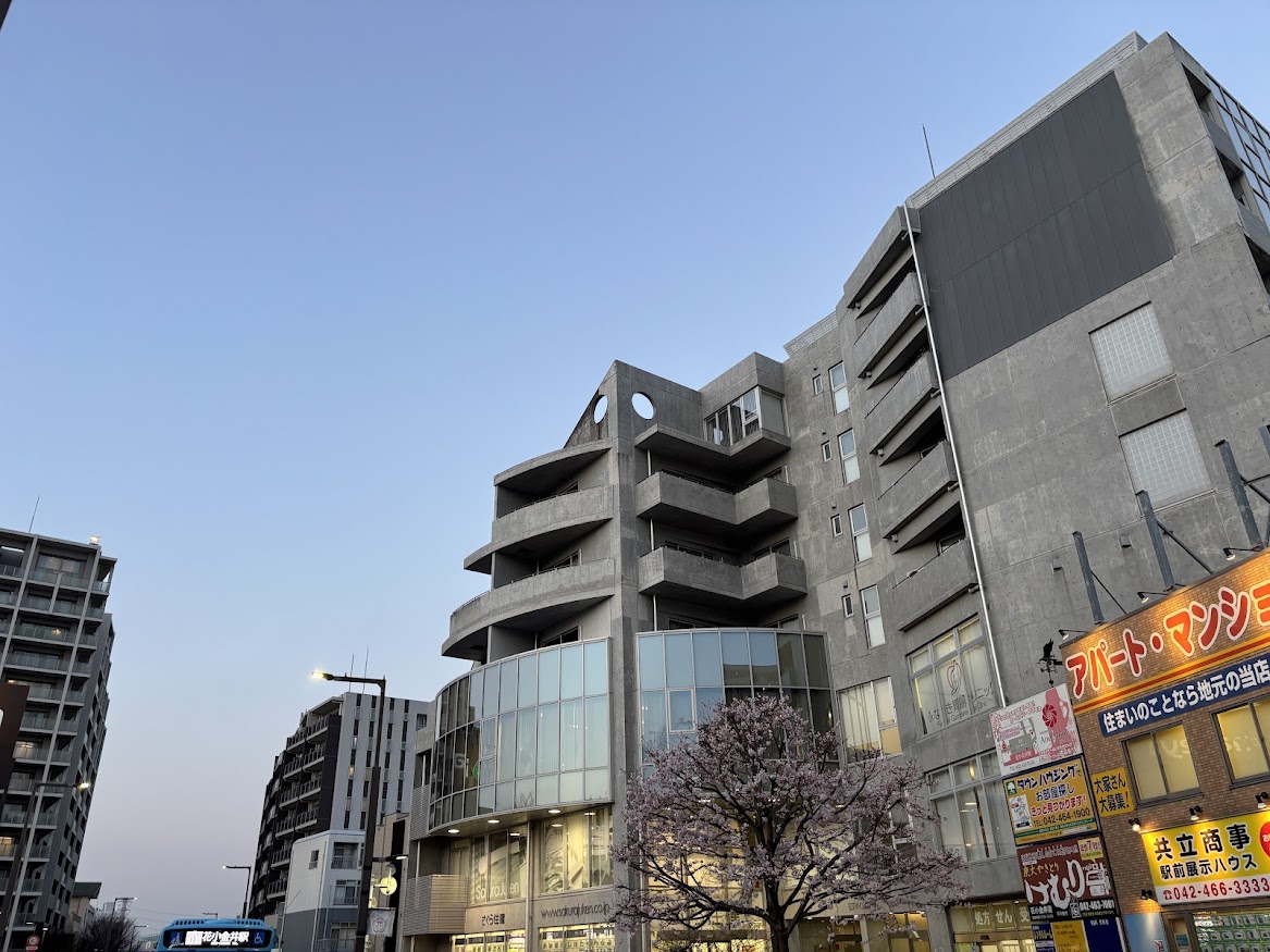 花小金井駅北口の桜