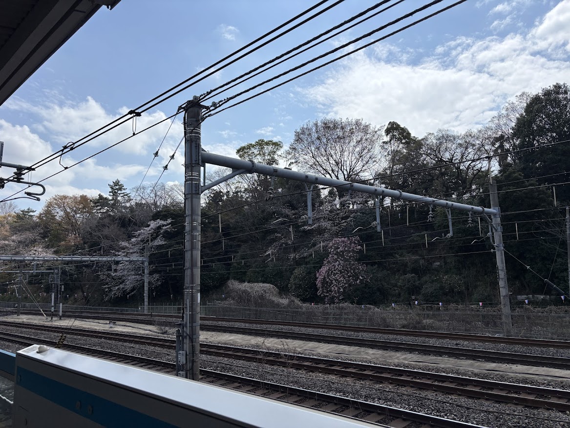 JR京浜東北線 王子駅から飛鳥山公園の桜