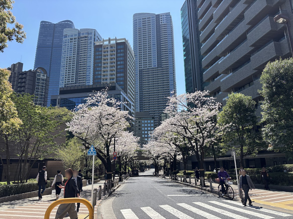 六本木一丁目駅近くのスペイン坂の桜並木
