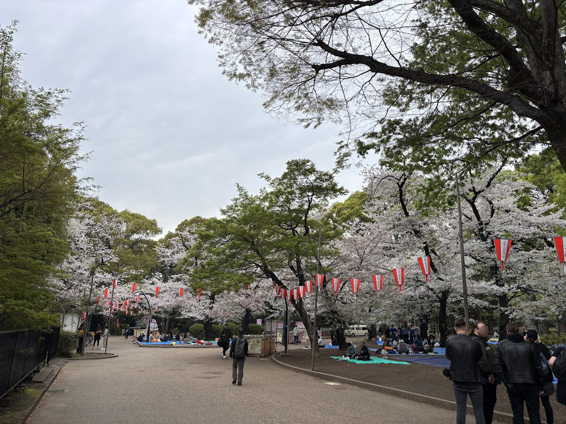 上野恩賜公園（上野公園）の桜で花見をしている方々