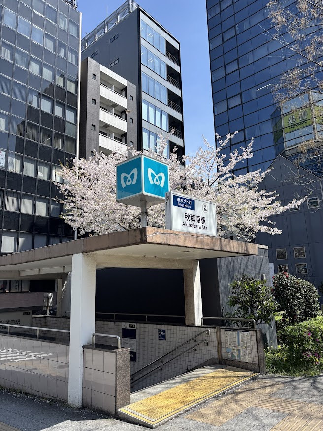 日比谷線 秋葉原駅近くの桜（CherryBlossom）