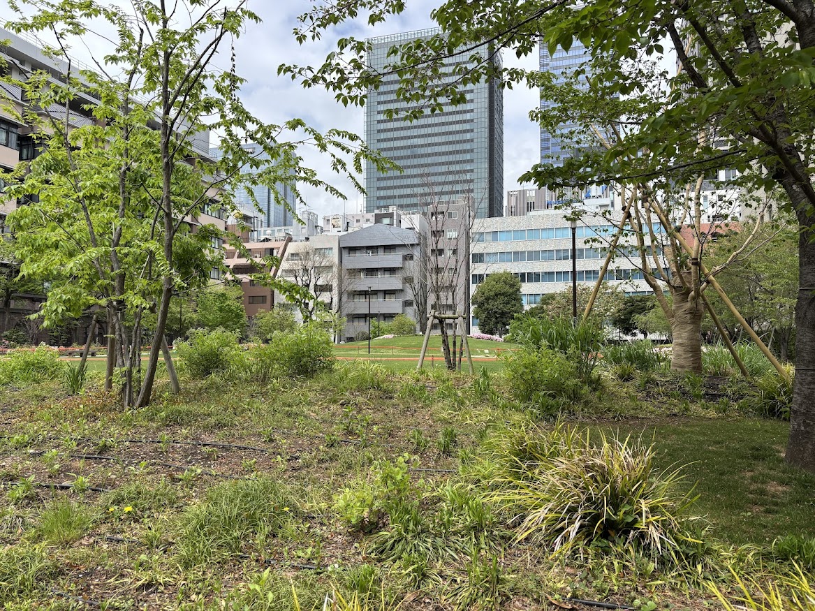 坂本町公園のベンチで休憩