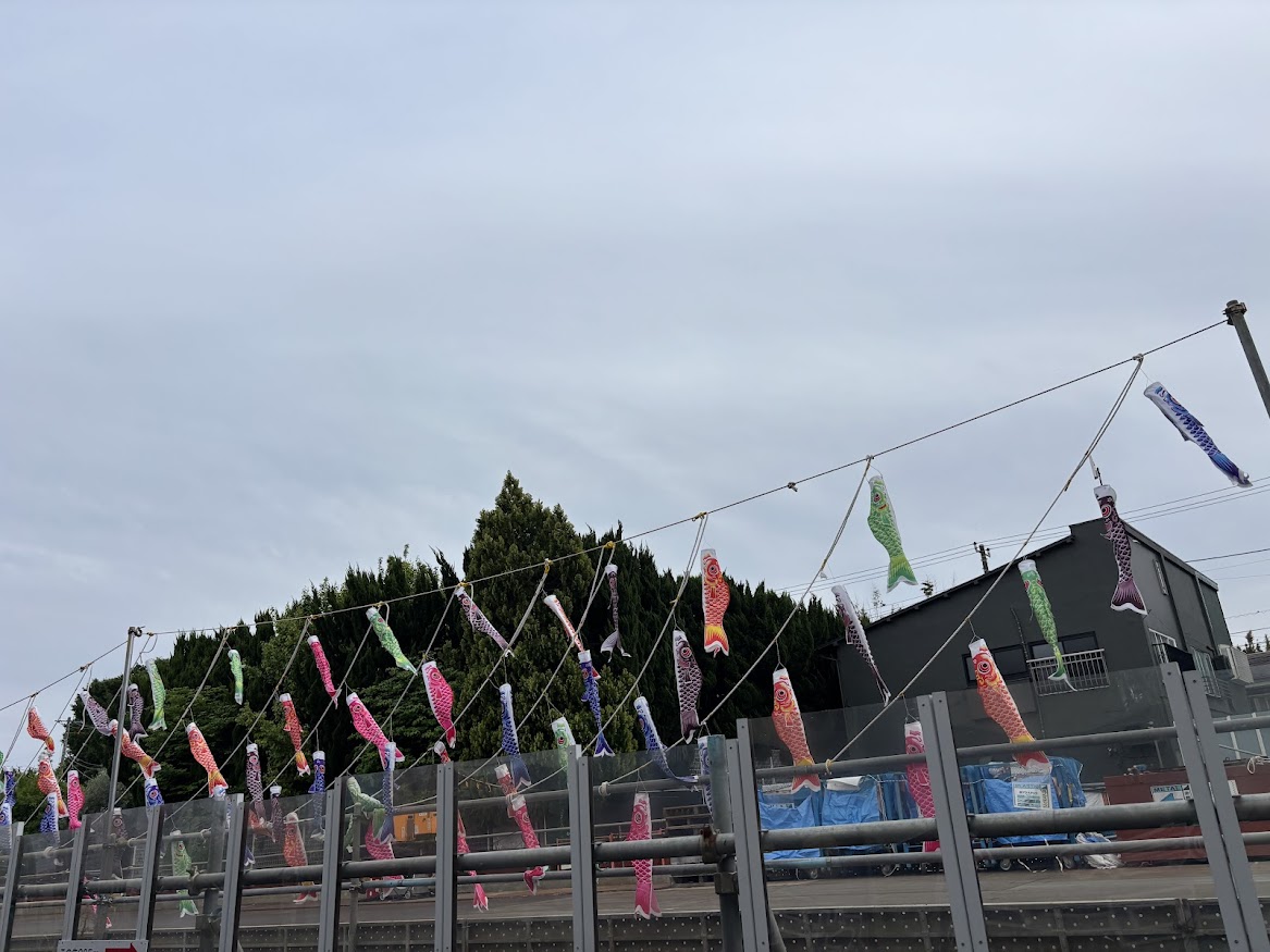鷺ノ宮駅南口前の鯉のぼり