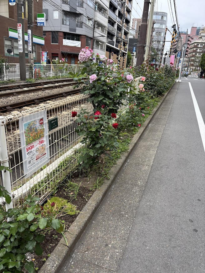 都電荒川線（東京さくらトラム）の大塚駅近く、大塚バラロード