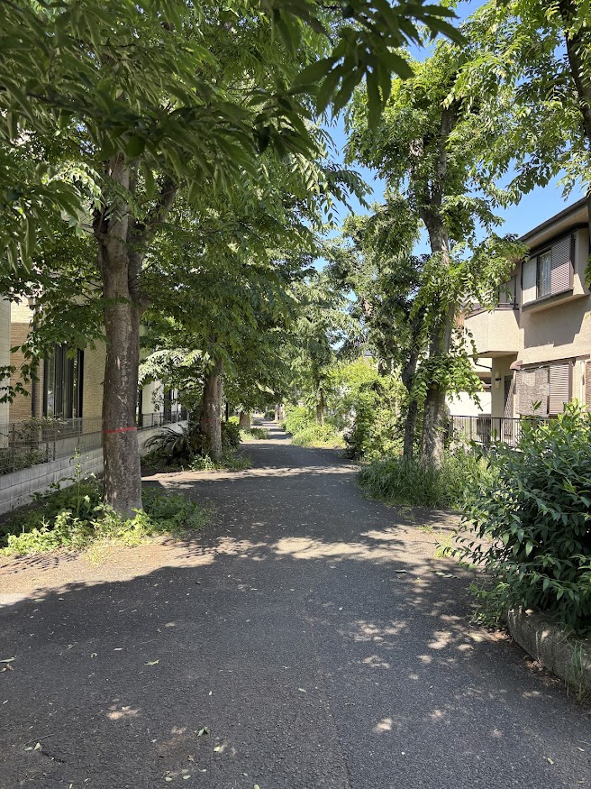 東久留米の遊歩道