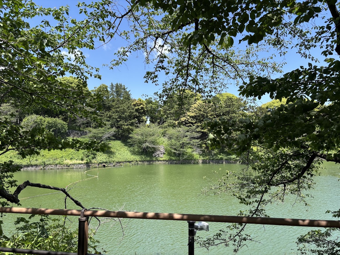 千鳥ヶ淵緑道
