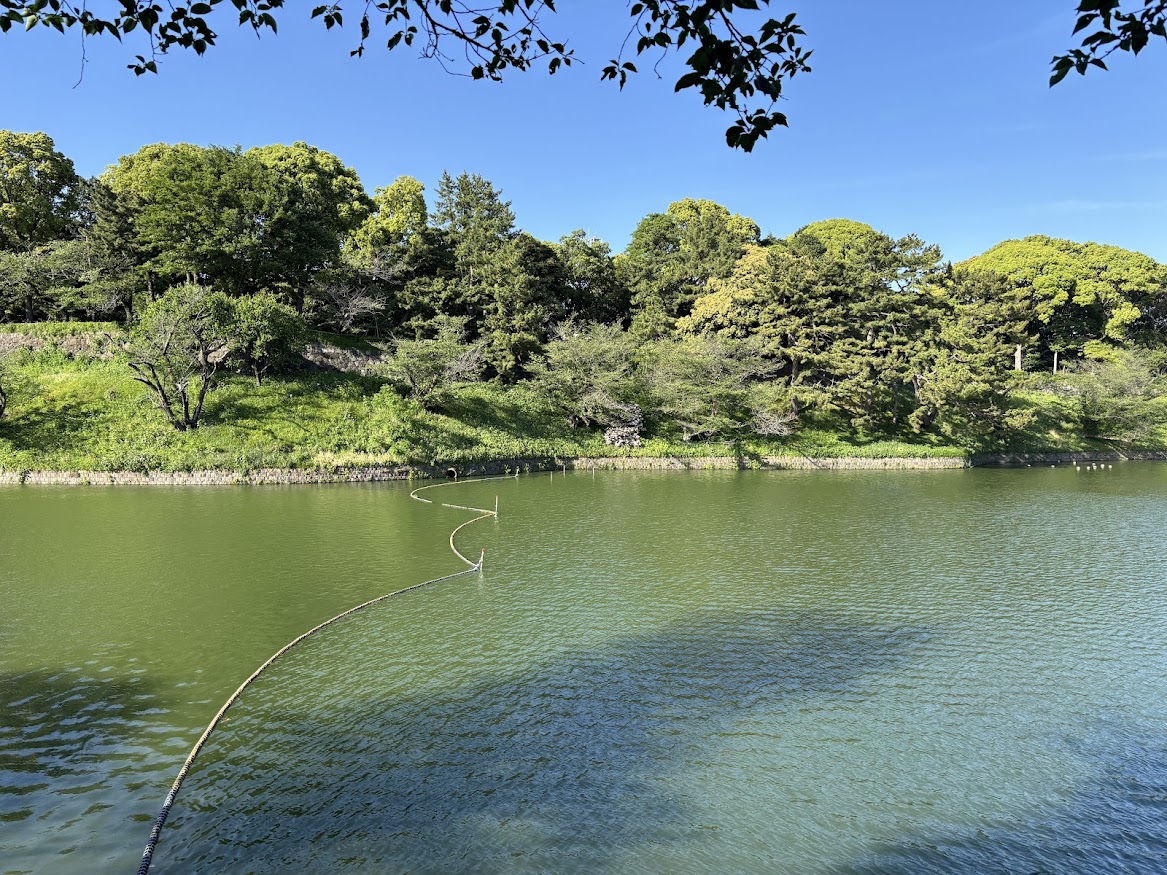 千鳥ヶ淵緑道