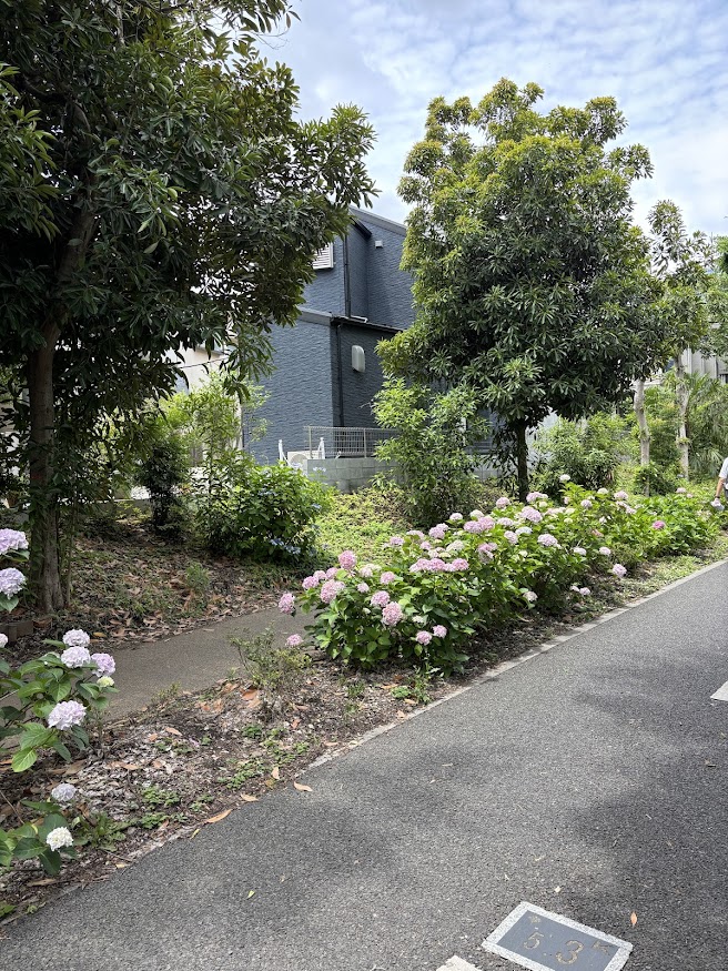 東京都道253号保谷狭山自然公園自転車道線（多摩湖自転車歩行者道）の小平のあじさい