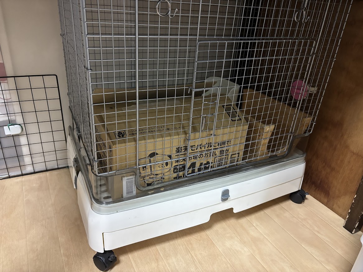 亡くなったウサギさんを箱に収納、ウサギさんのケージで一時保管
