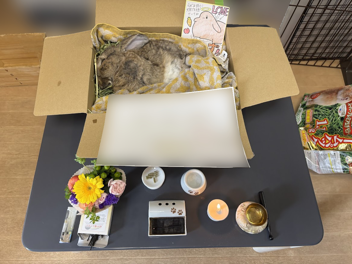 なくなったウサギさんに向けて用意いただいた簡易祭壇＞ペットメモリーアニマルハースへぶん【お旅立ちプラン】
