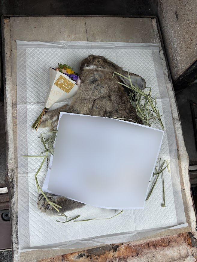 焼却台（火床）に乗るウサギさんの遺体