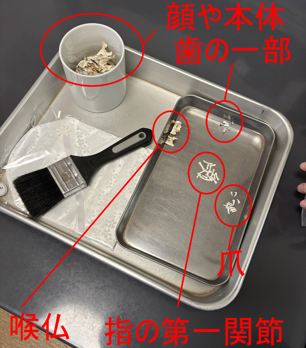 火葬されて戻ってきたウサギさんの骨とその種類と骨壷巾着・白骨壷
