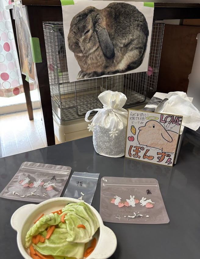 骨壺に入ったウサギさんの骨