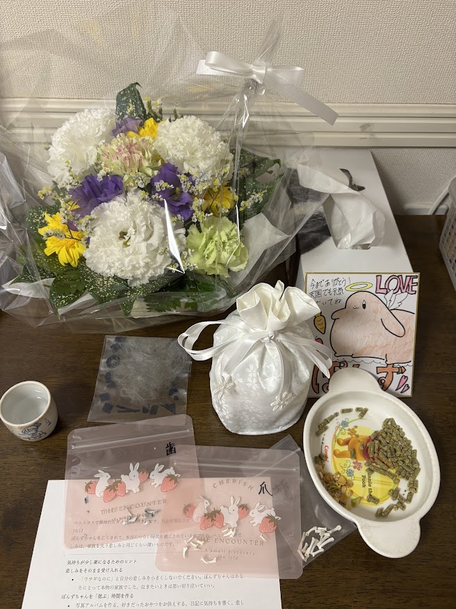 亡くなってお月様に行き骨になったぽんず（ウサギ ロップイヤー）に朝のご飯（餌）