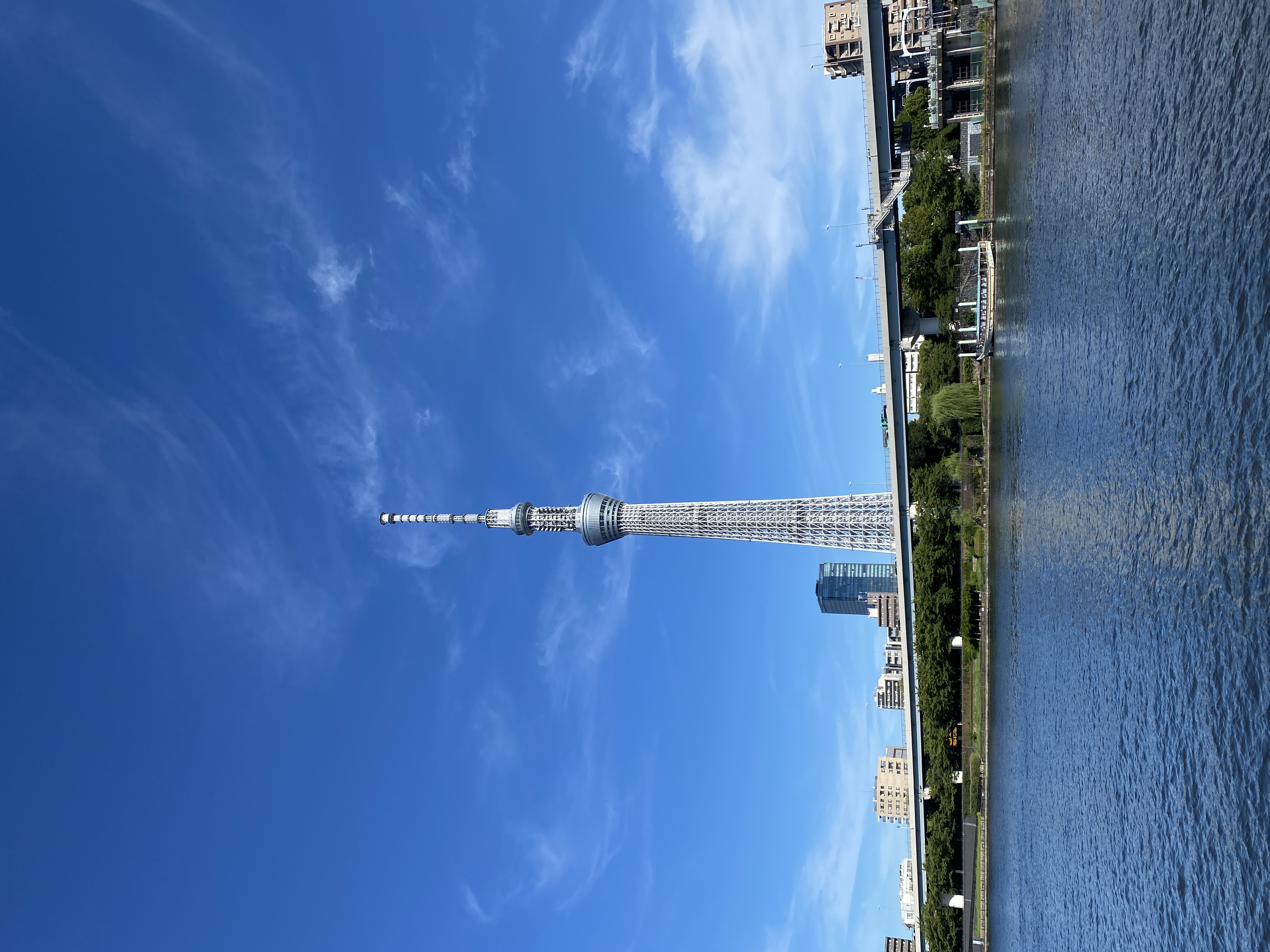 すみだリバーウォークから東京スカイツリー