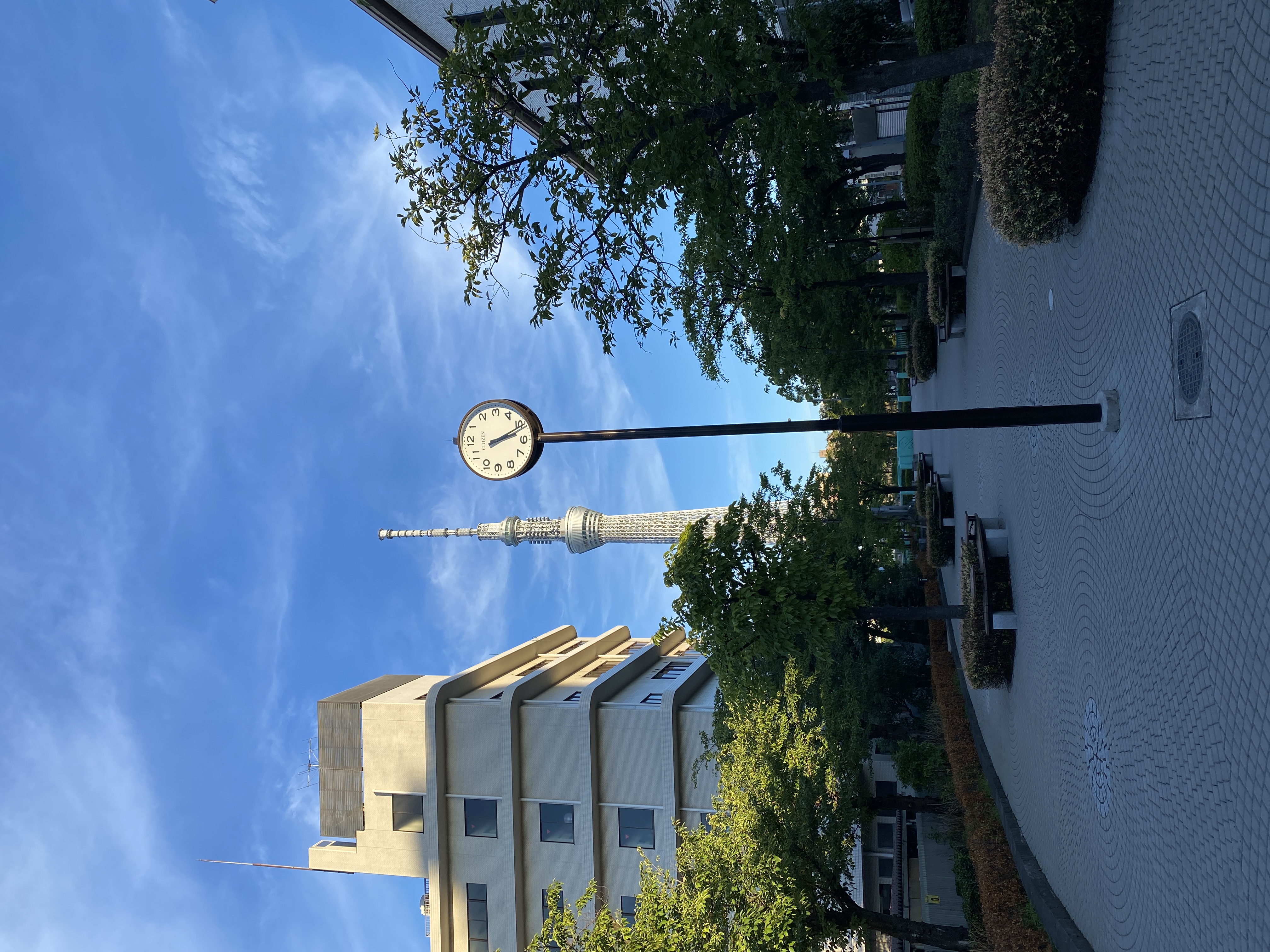 山谷堀公園から東京スカイツリー