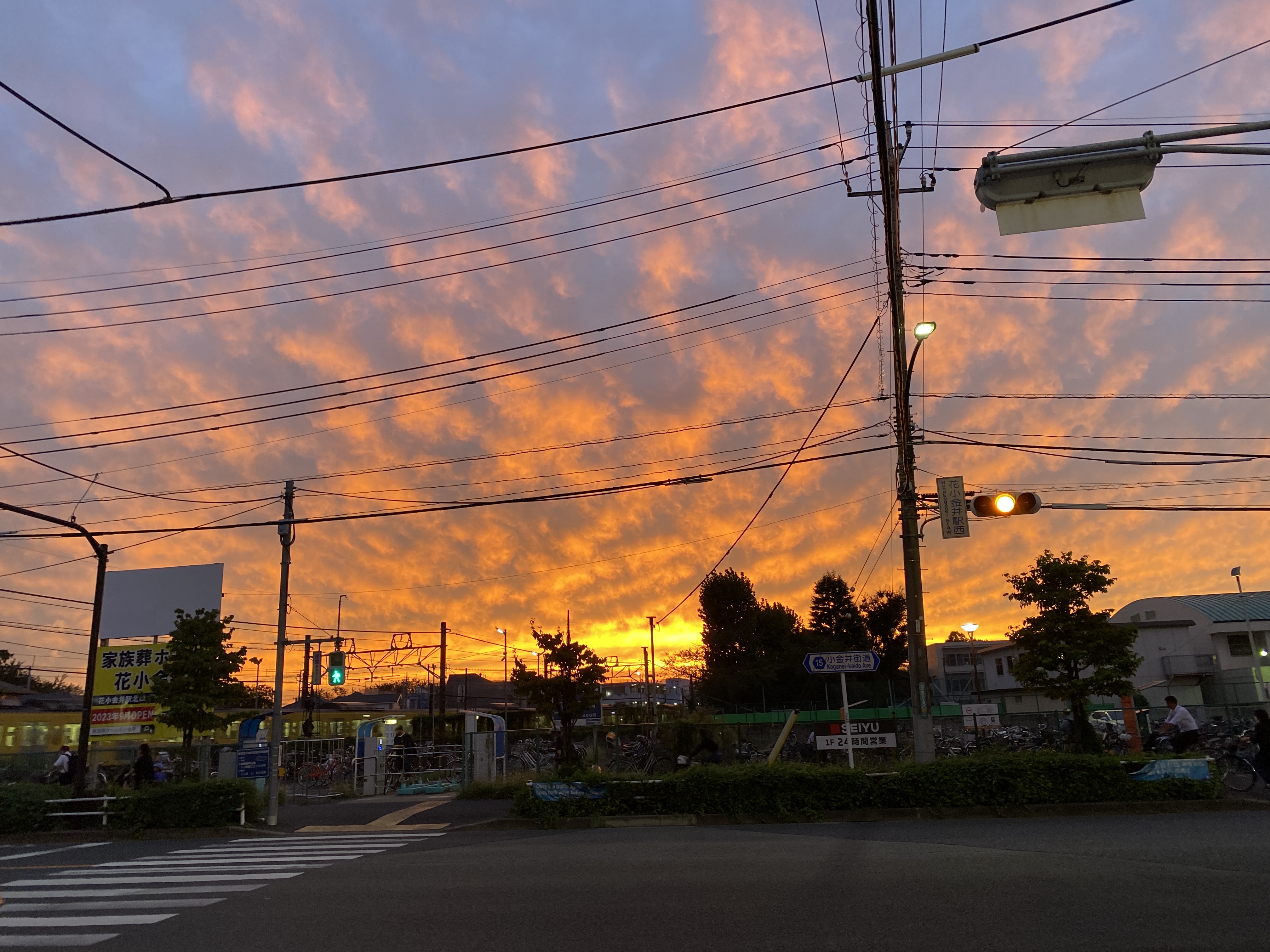 綺麗な夕焼け