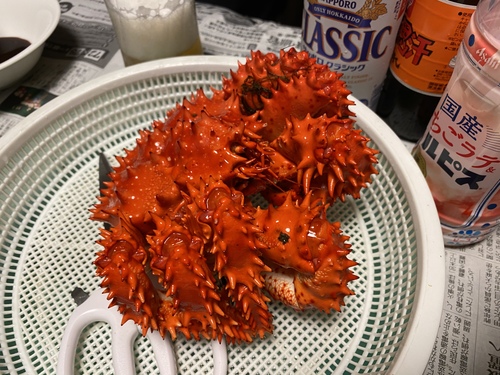 花咲蟹（花咲ガニ）