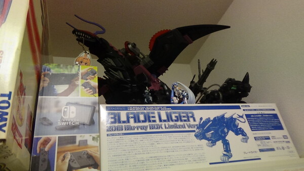 SONYのデジタルビデオカメラ ハンディカム HDR-CX680で撮影した写真