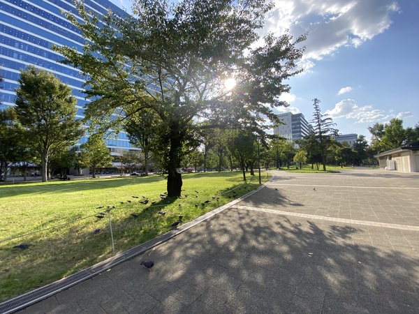 中野四季の森公園