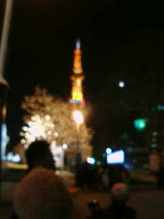 第55回さっぽろ雪まつり会場の写真　FOMA F900iで撮影