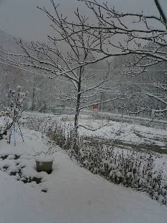 L.i.b galleryから盤渓の雪景色