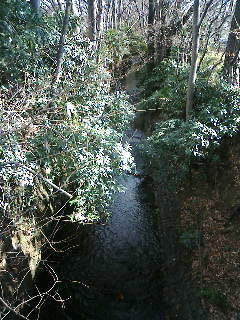 川です