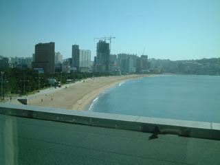 朝の部屋からの眺め