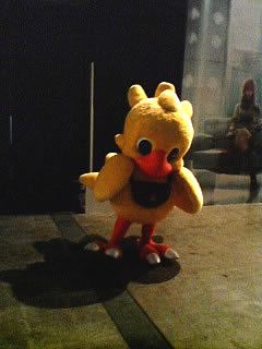 チョコボが居ました