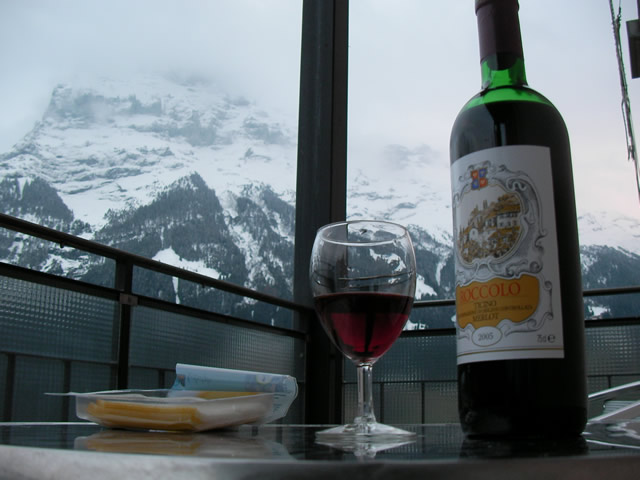 山々を見つつワインを飲む