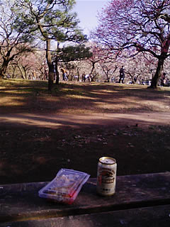 小金井公園の梅と麦酒
