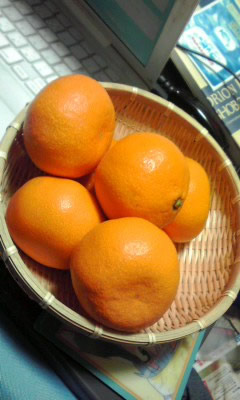 みかん