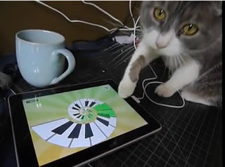 猫でも楽しめるiPad！