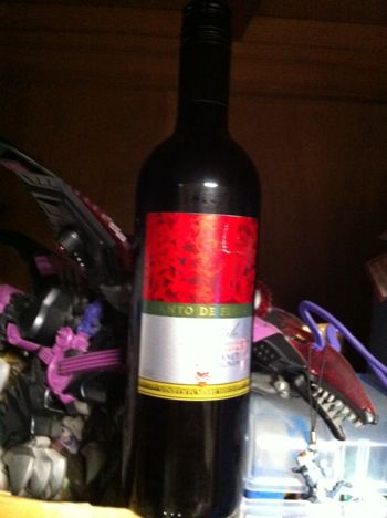 チリの赤ワイン「赤ワイン　CANTO DERLORA Cabernet Seuvignon（カント・デ・フローラ　カベルネ・ソーヴィニヨン）2009」