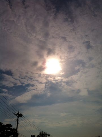 金環日食　2012年5月21日