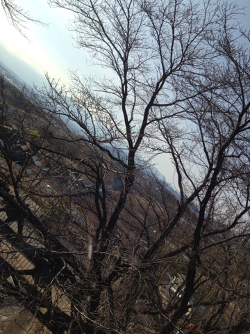 ぶどうの郷あたりの昼景