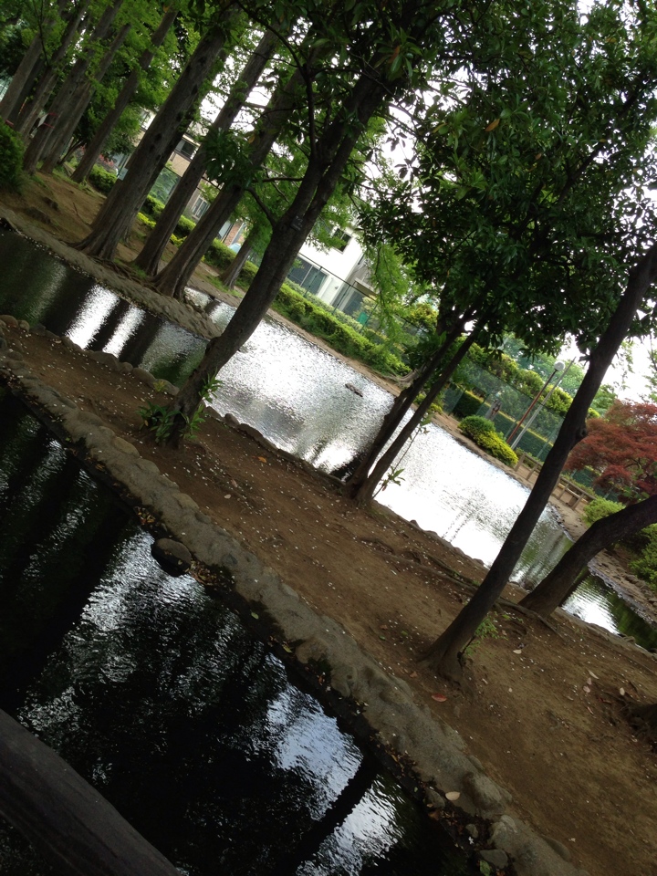 池のある公園