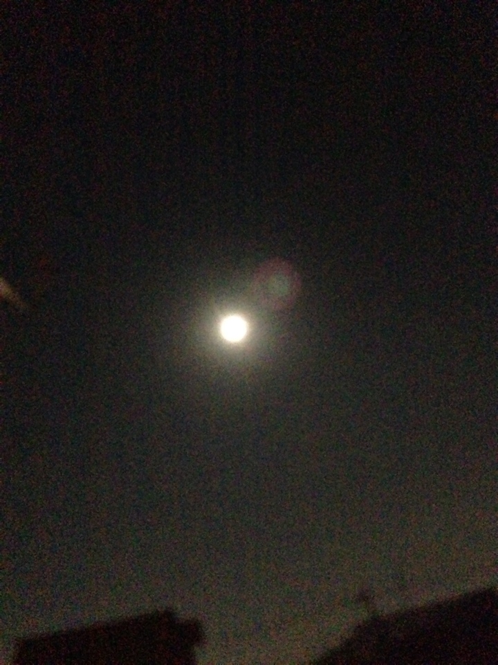 中秋の名月の満月