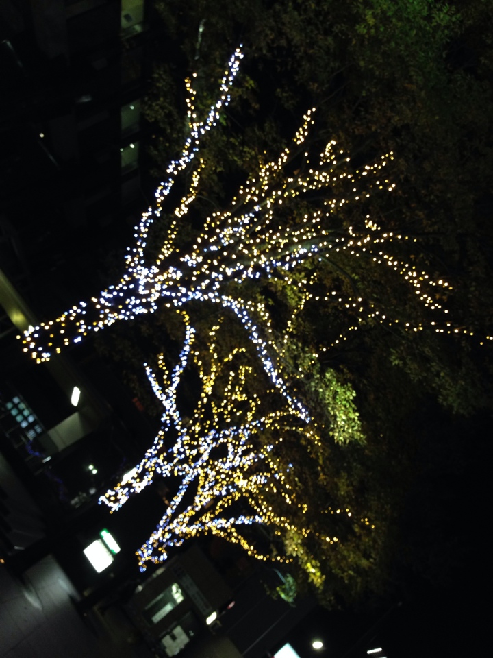 クリスマスイルミネーション