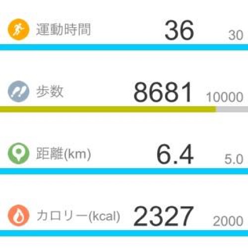 歩行距離など1 運動時間：36分 歩数：8681歩 距離：6.4km 消費カロリー：2327kcal