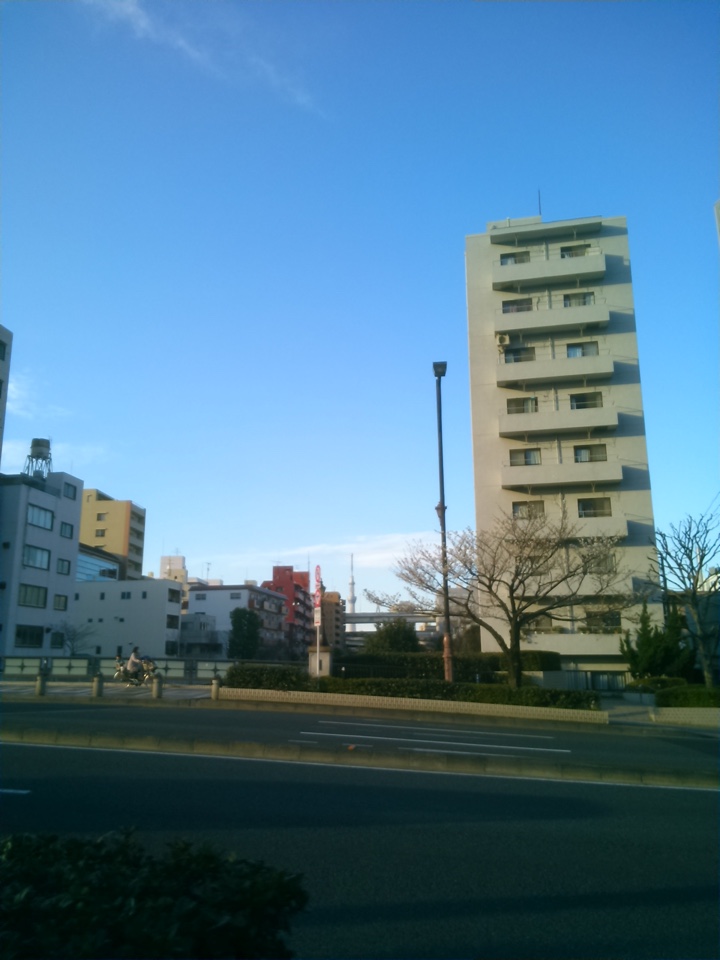 スカイツリーが見えた
