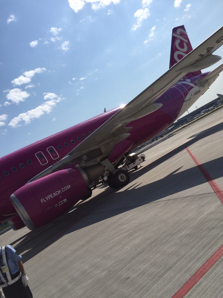 ピーチの飛行機A320